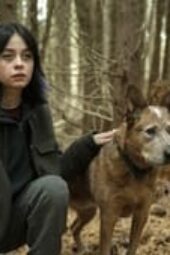 Nonton Film Orphan Black: Echoes Season 1 Episode 7 Terbaru