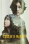 Nonton Film Concrete Market (2025) Terbaru Nonton Film Concrete Market (2025) Terbaru