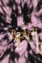 Nonton Film Bleach Season 1 Episode 161 Terbaru