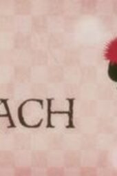 Nonton Film Bleach Season 1 Episode 207 Terbaru