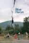 Nonton Film Blue Heron (2026) Terbaru Nonton Film Blue Heron (2026) Terbaru